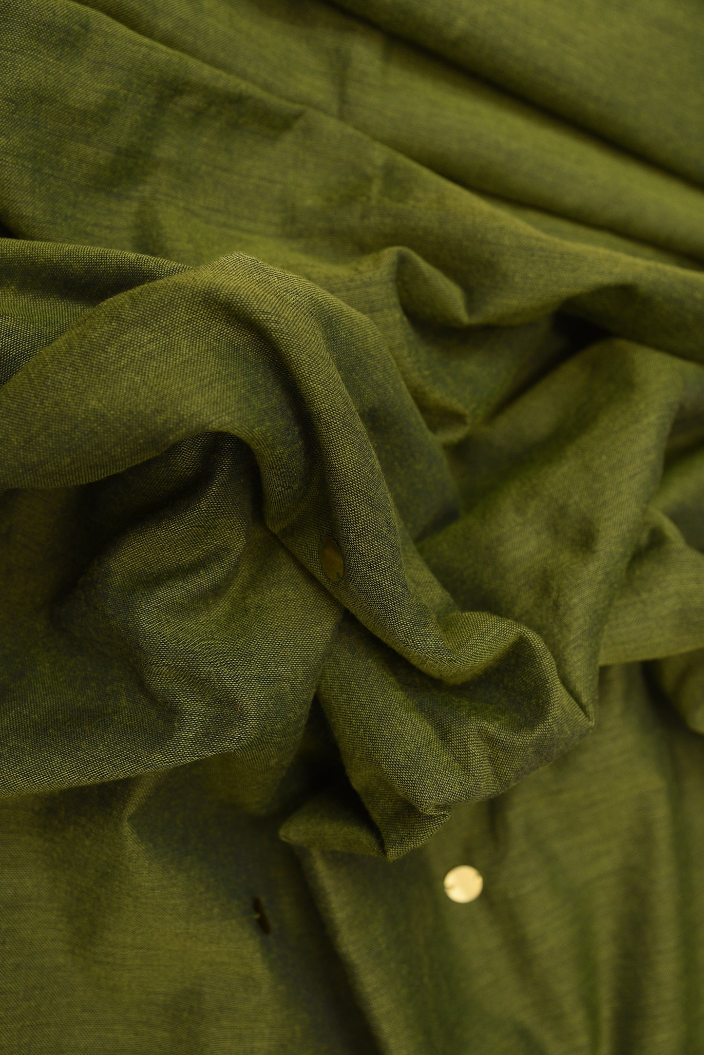 Olive Green Chumki Saree